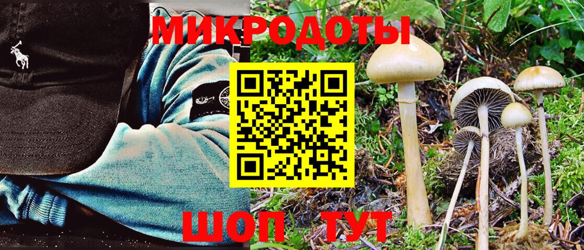 Шарыпово  Псилоцибиновые грибы мухоморы  купить наркоту  Псилоцибиновые грибы Psilocybine cubensis  Вход с VPN 